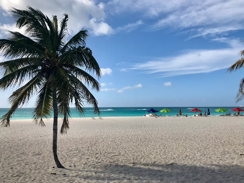 The Best Time to Visit Aruba: A Month-by-Month Guide - Cruise Critic