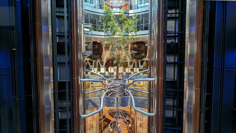 The atrium on Celebrity Reflection, which features a living tree suspended between the elevators. (Photo: Colleen McDaniel)