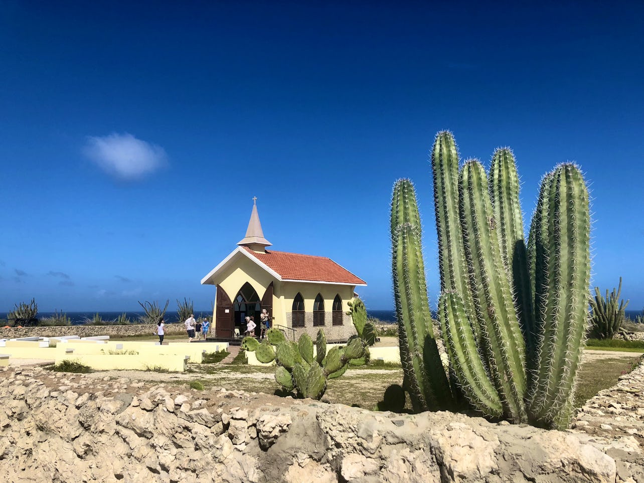 The Best Time to Visit Aruba: A Month-by-Month Guide - Cruise Critic