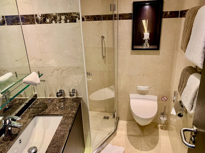 Bathroom in Panorama Suite Aboard Avalon Imagery II