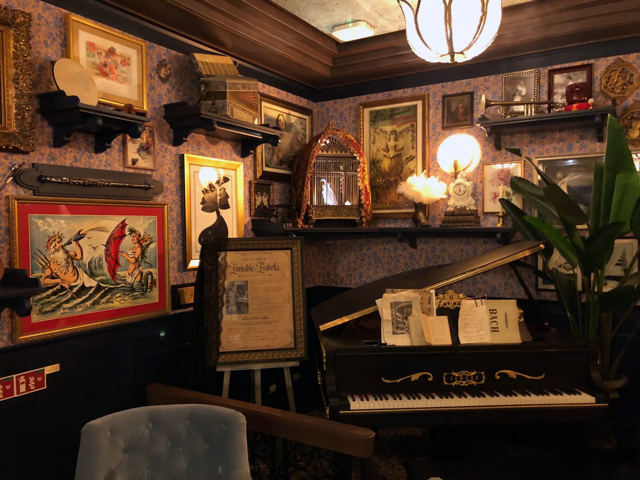 Spellbound: What to Expect from Sun Princess' Magic Castle