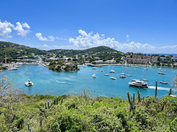 View of St. John's Cruz Bay, in the US Virgin Islands (Photo: Jorge Oliver)