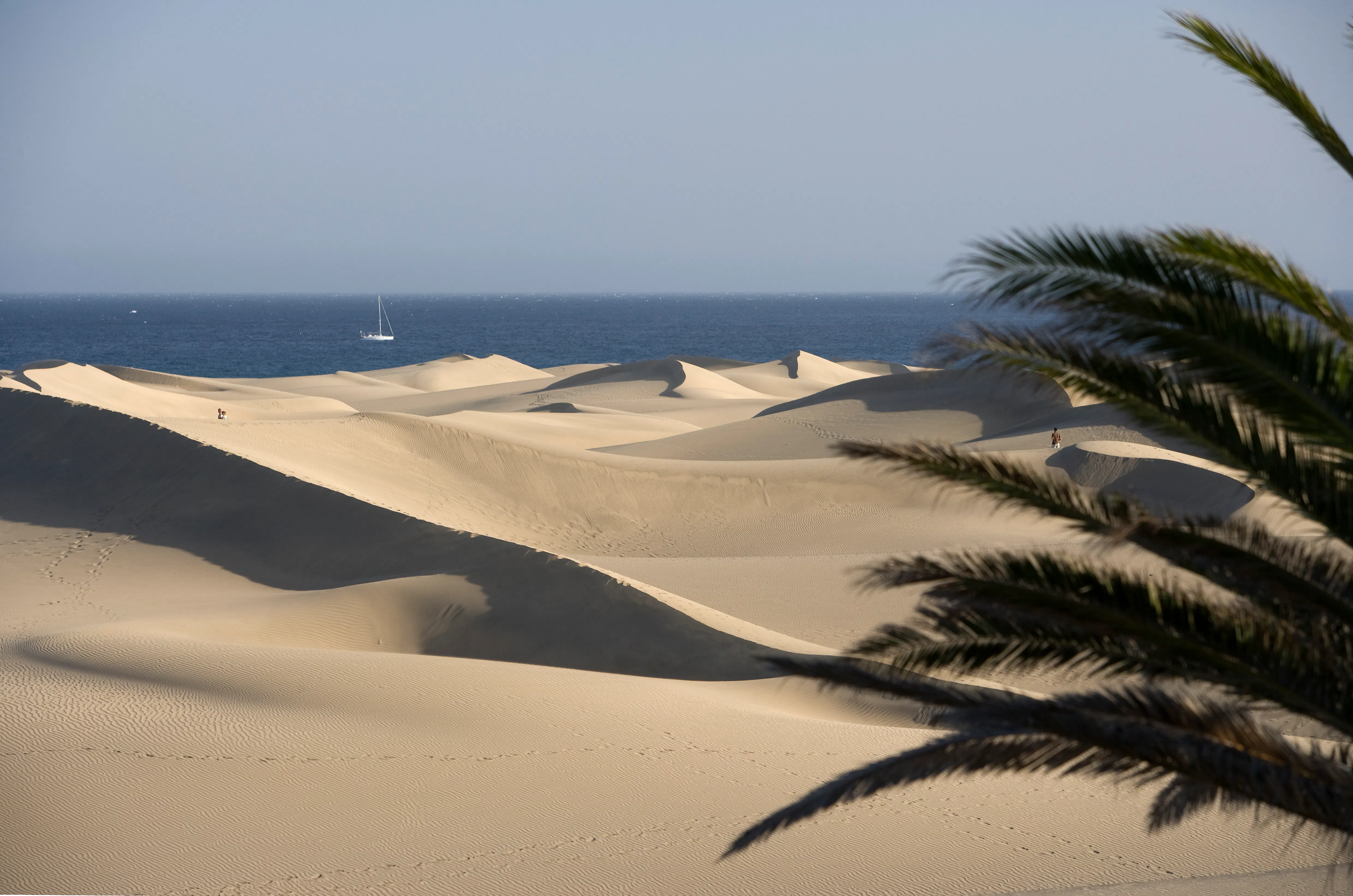 Everything You Need to Know About Canary Islands Cruises - Vimarsana News