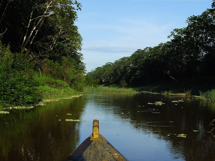 Amazon River (Photo: Maciek A/Shutterstock)
