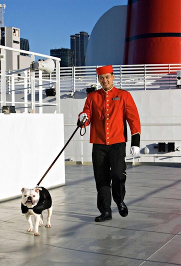transatlantic boat travel with dog
