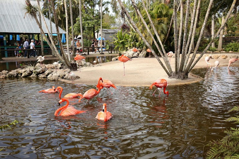 The Wildlife Sanctuary of Flamingo Gardens (Photo: Jillian Cain Photography/Shutterstock)