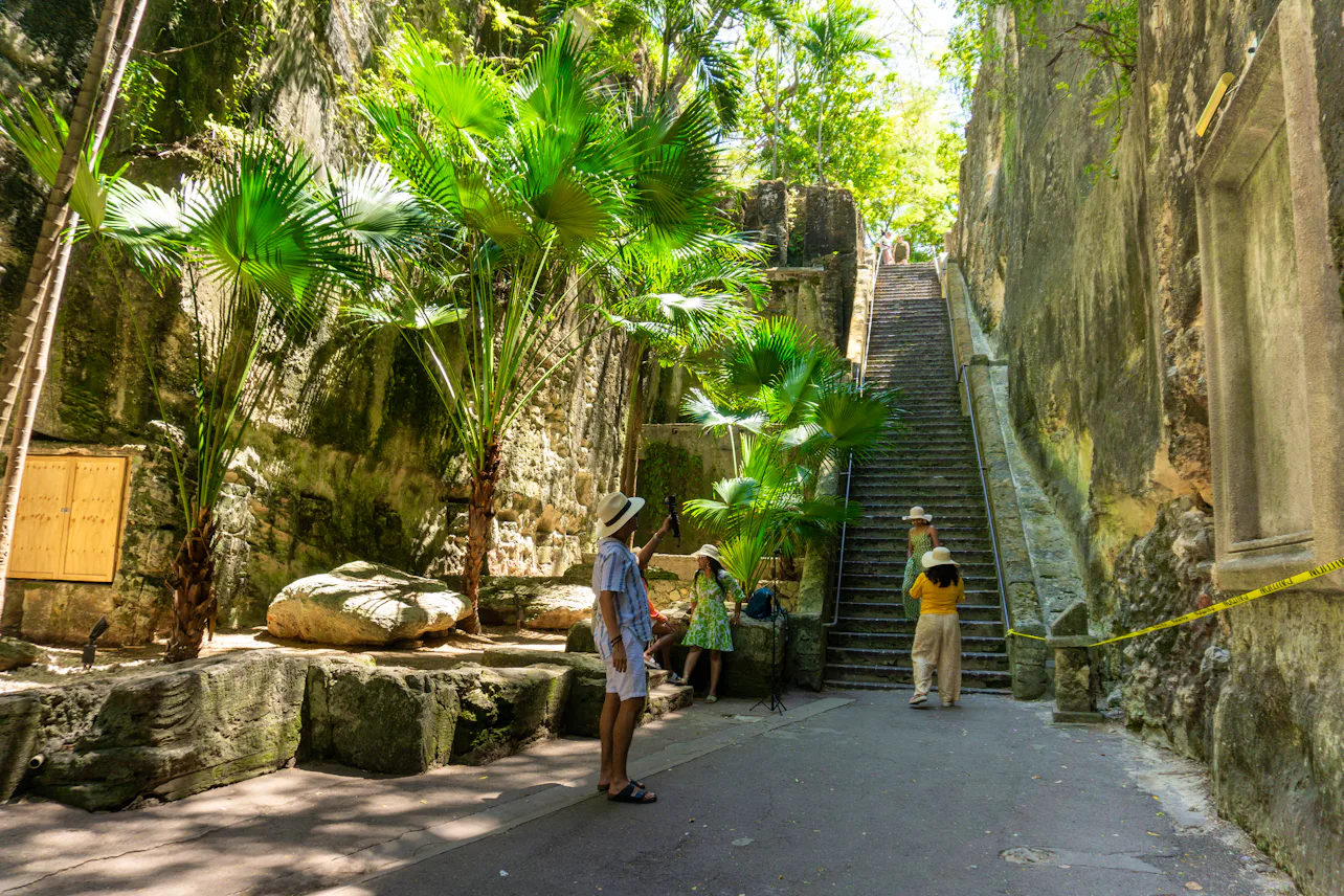 11 Best Nassau, Bahamas Excursions Cruisers Should Try - Cruise Critic