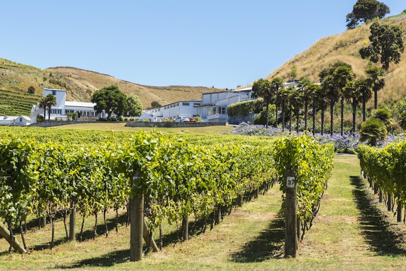 The Oldest and Second Largest Winery, Hawke's Bay, in New Zealand (Photo: JSvideos/Shutterstock)