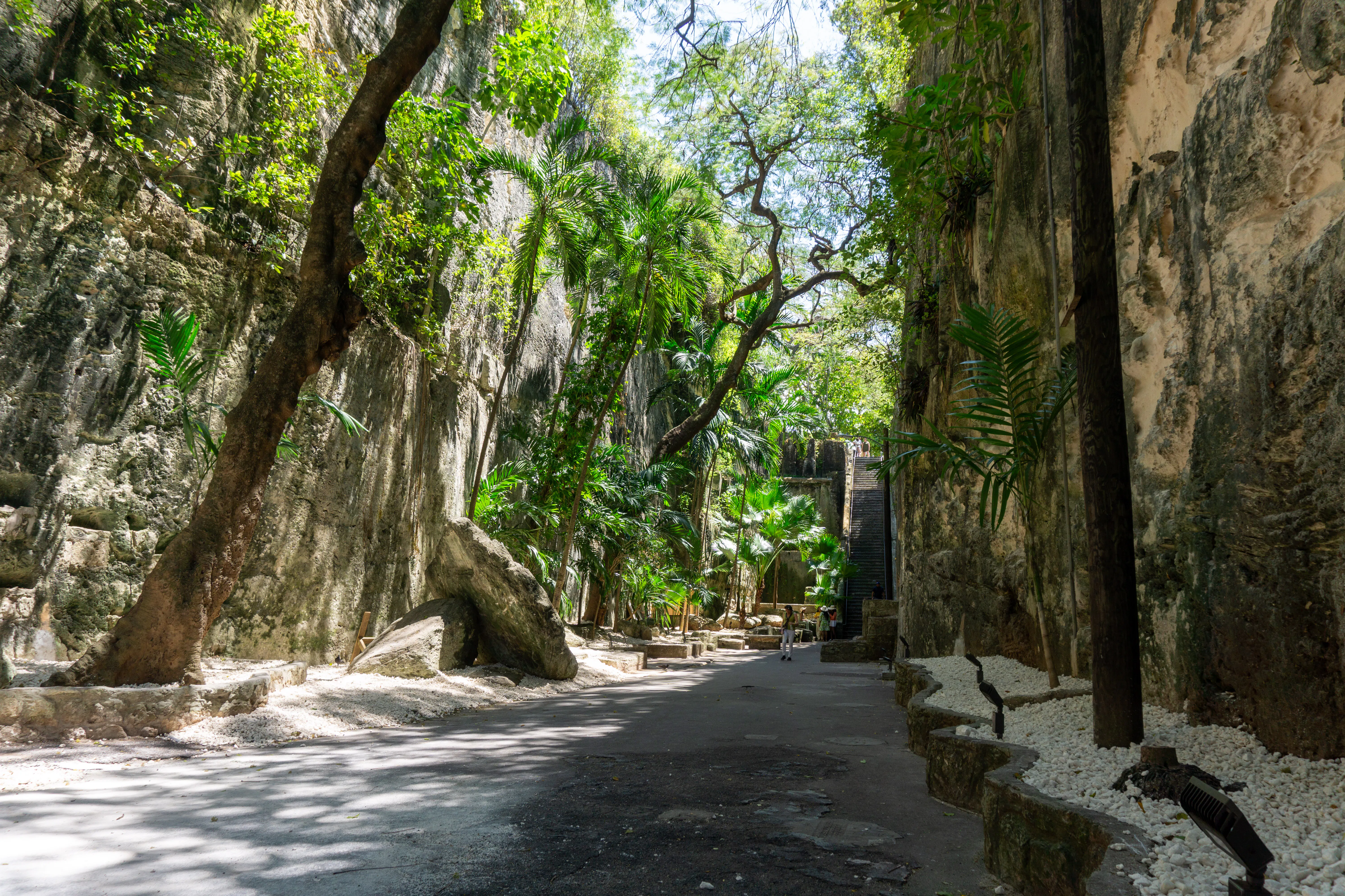 The 12 Best Bahamas Shore Excursions for Cruisers