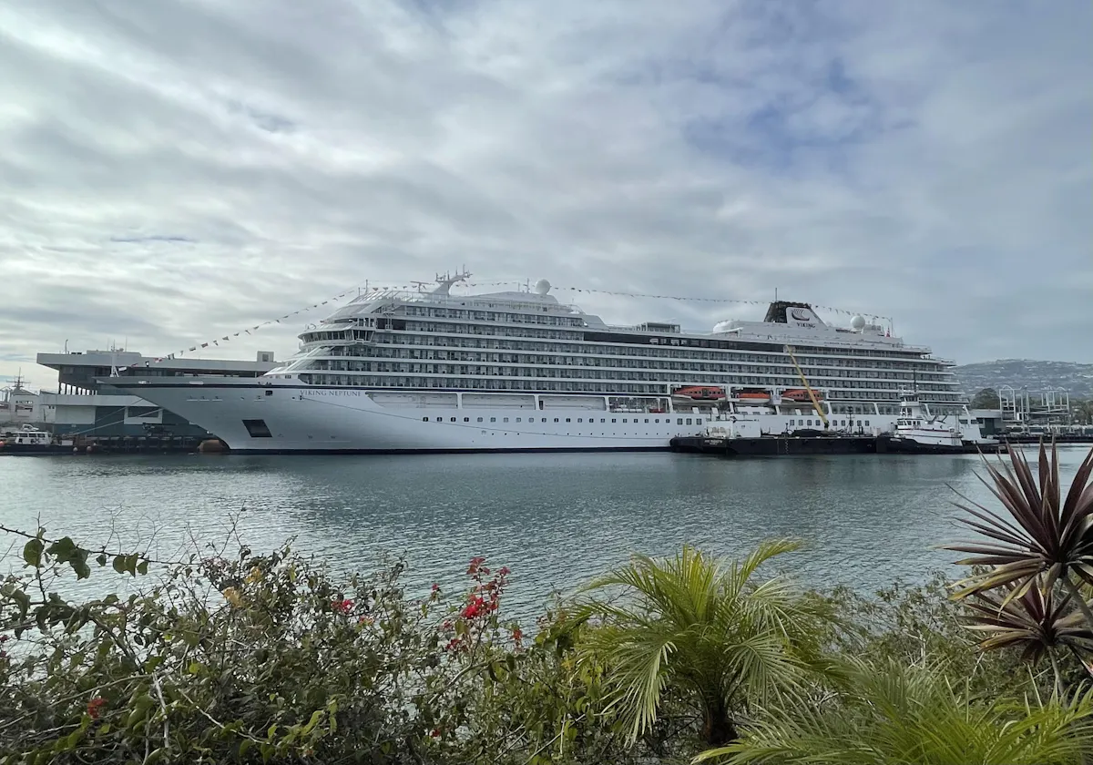 Viking Neptune