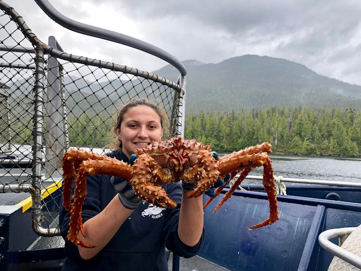 King Crab being held by employee on deck (Photo: Chris Gray Faust/Cruise Critic)