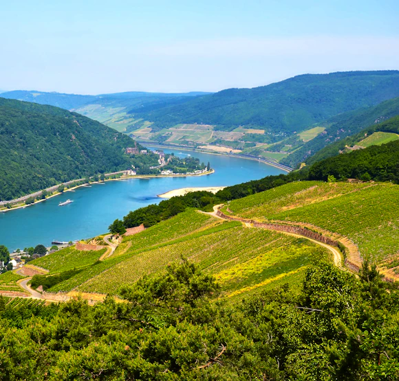Europe Reno River Europe River Cruise Tips: Your Ultimate Guide