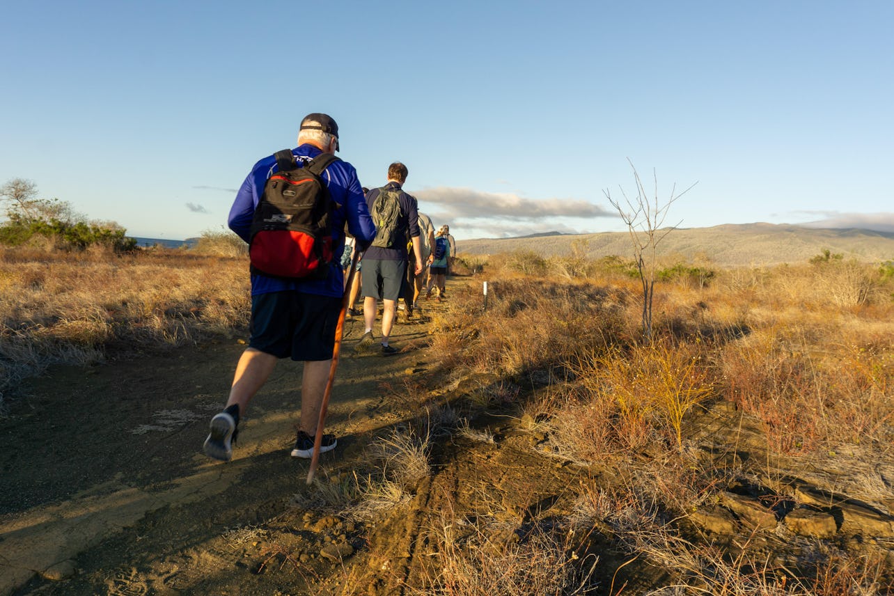 Everything You Need to Know About Shore Excursions