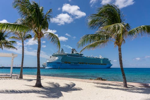 Just updated: The best 2024 wave season cruise deals