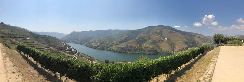 Panoramic view of the Douro River (Photo: Adam Coulter)