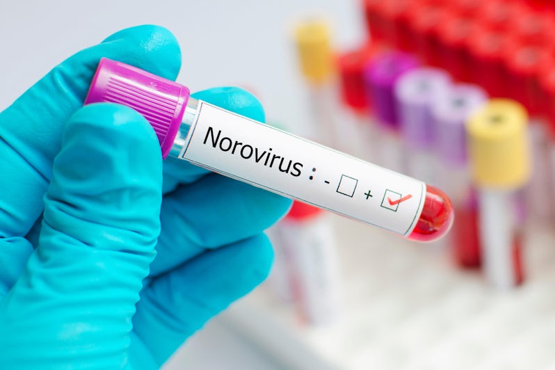 Demystifying the Myths of Norovirus (Photo: Jarun Ontakrai/Shutterstock)