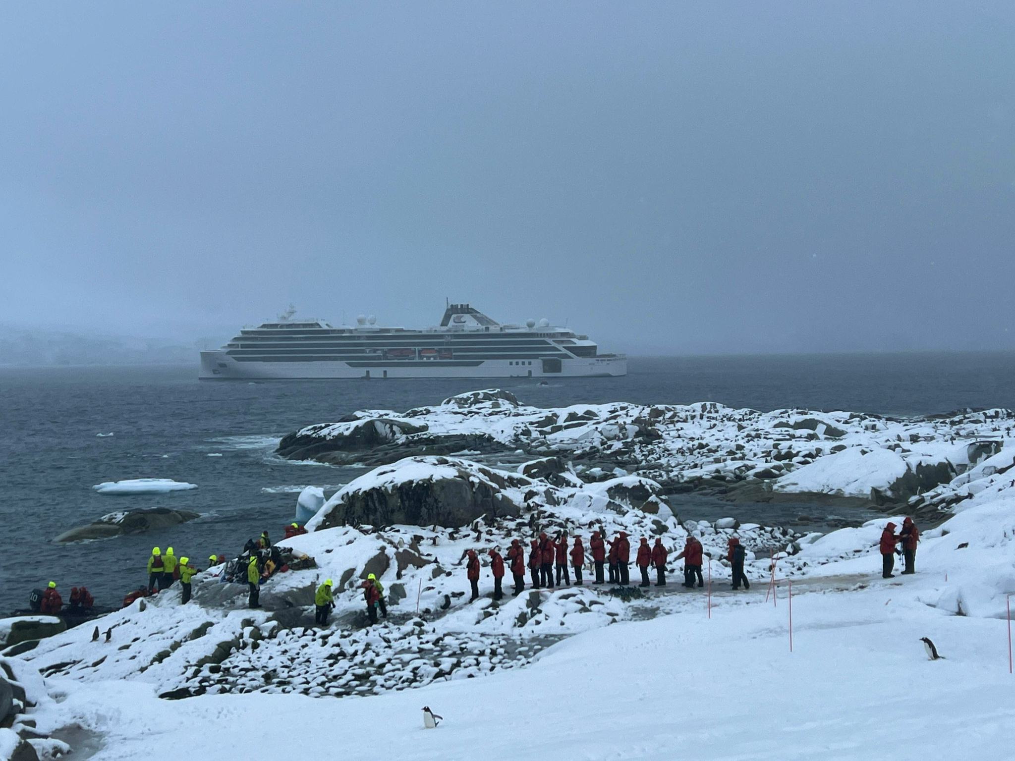 Who Owns Viking Cruise Critic who-owns-viking-cruise-critic