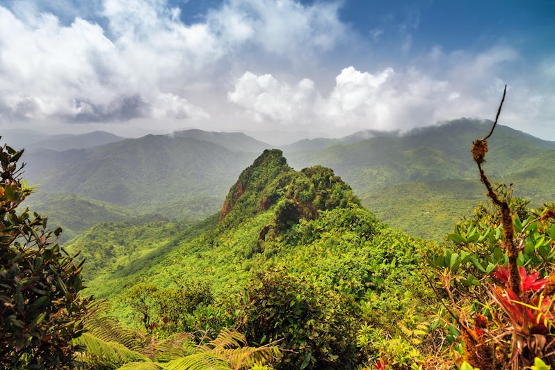 Beautiful panoramic view over the hills in the jungle of the El Yunque national forest in Puerto Rico