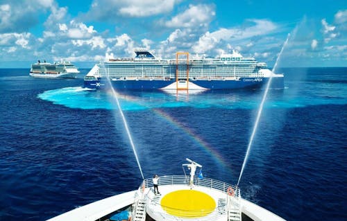 Compare the 8 Most Popular Cruise Ships in the World