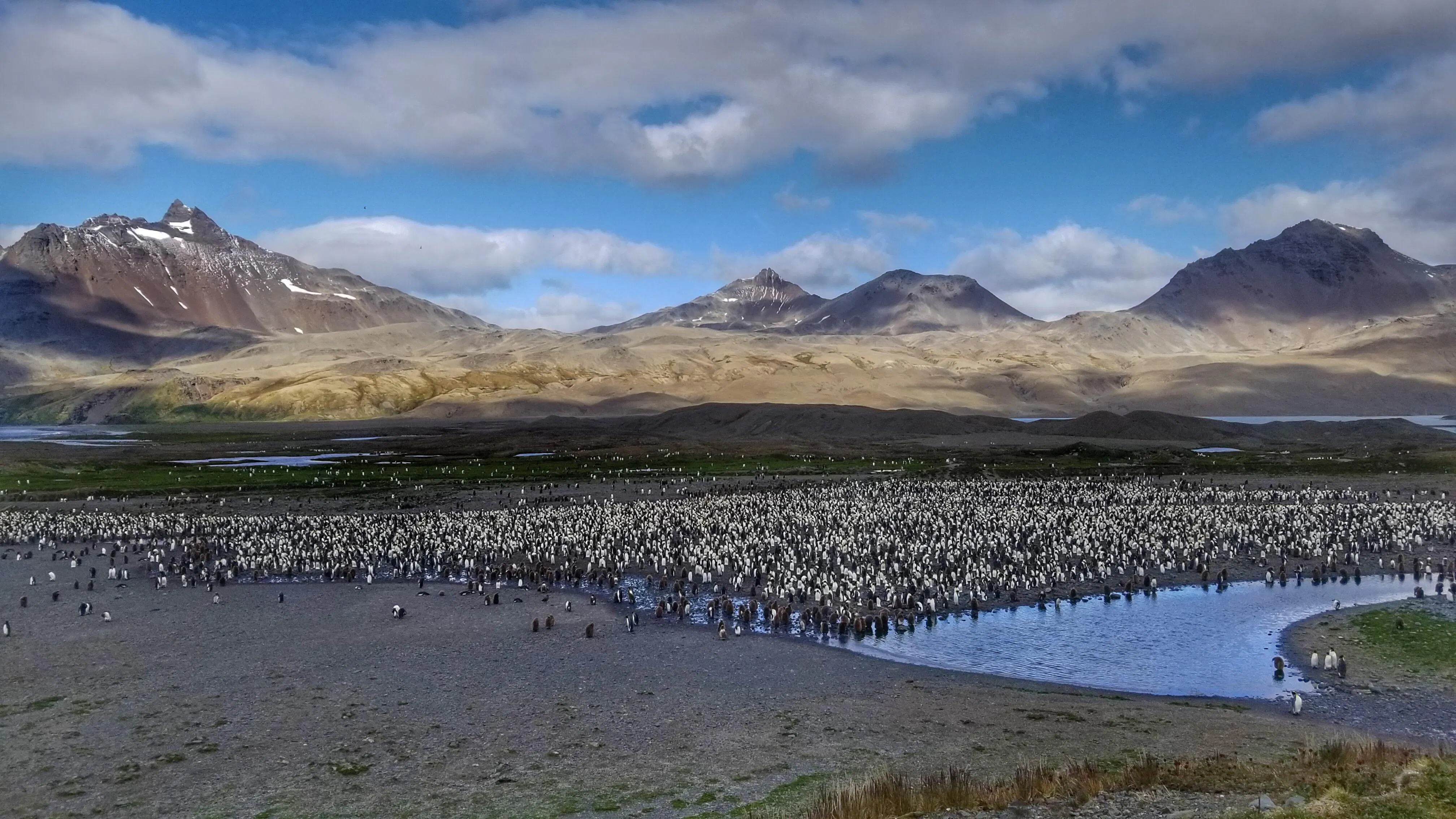 Cheap Antarctica Cruises: Find the Best Antarctica Deals