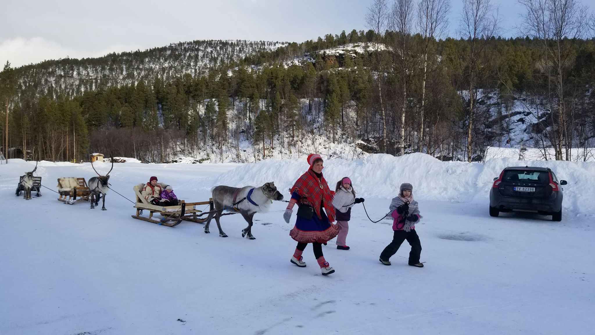 Viking Northern Lights Cruise 2025 Heath Koressa