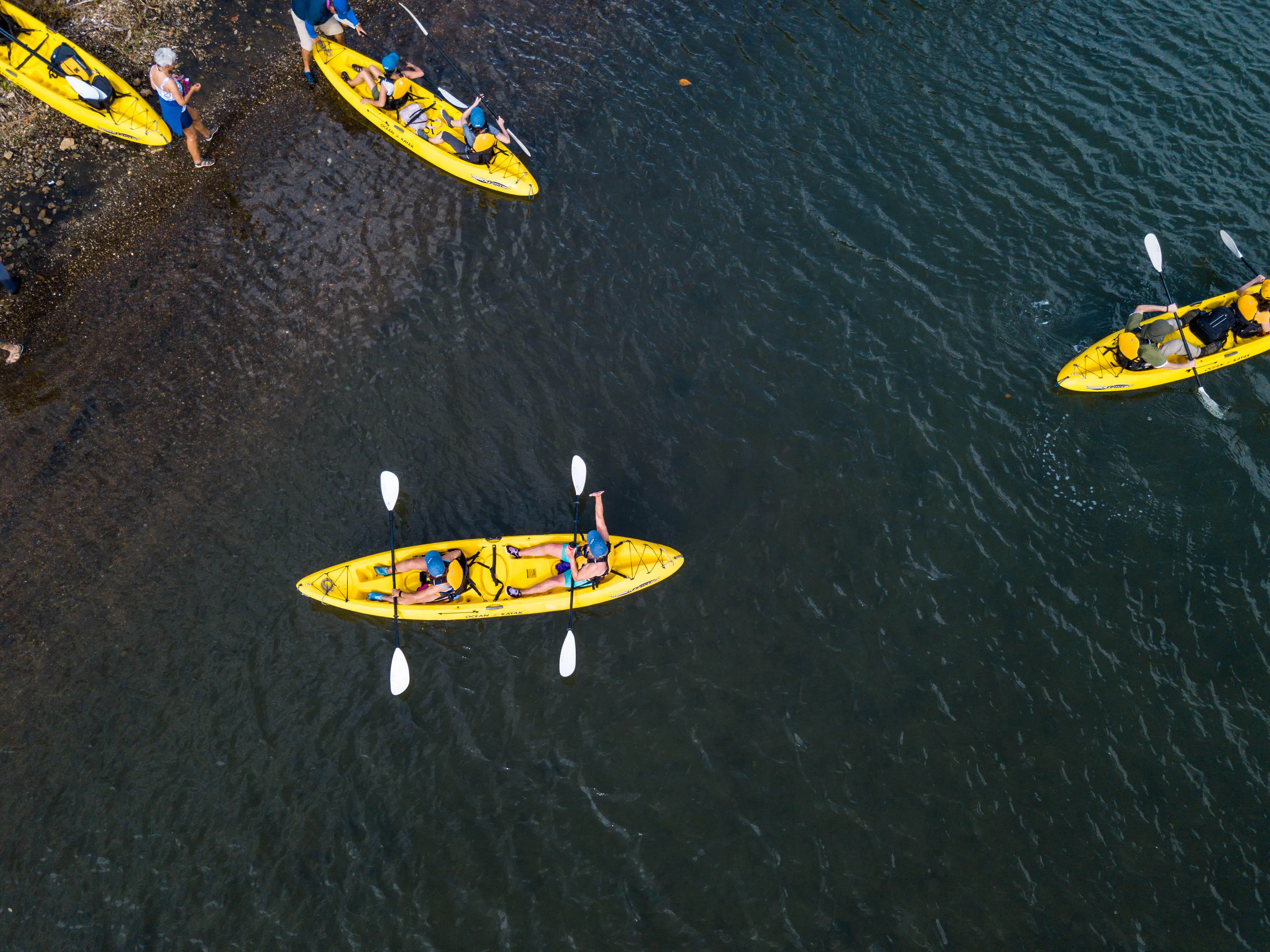 The 14 Things Not to Forget for Your Cruise