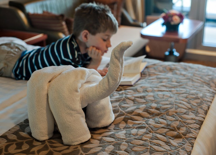 Little boy reading a book on stateroom bed, next to a towel animal