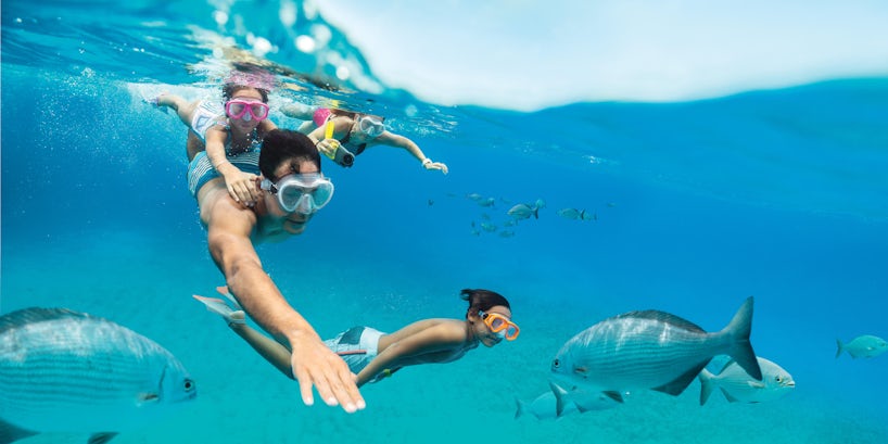 Family snorkelling excursion, father and children diving with marine life on a tropical vacation (Photo: Royal Caribbean)