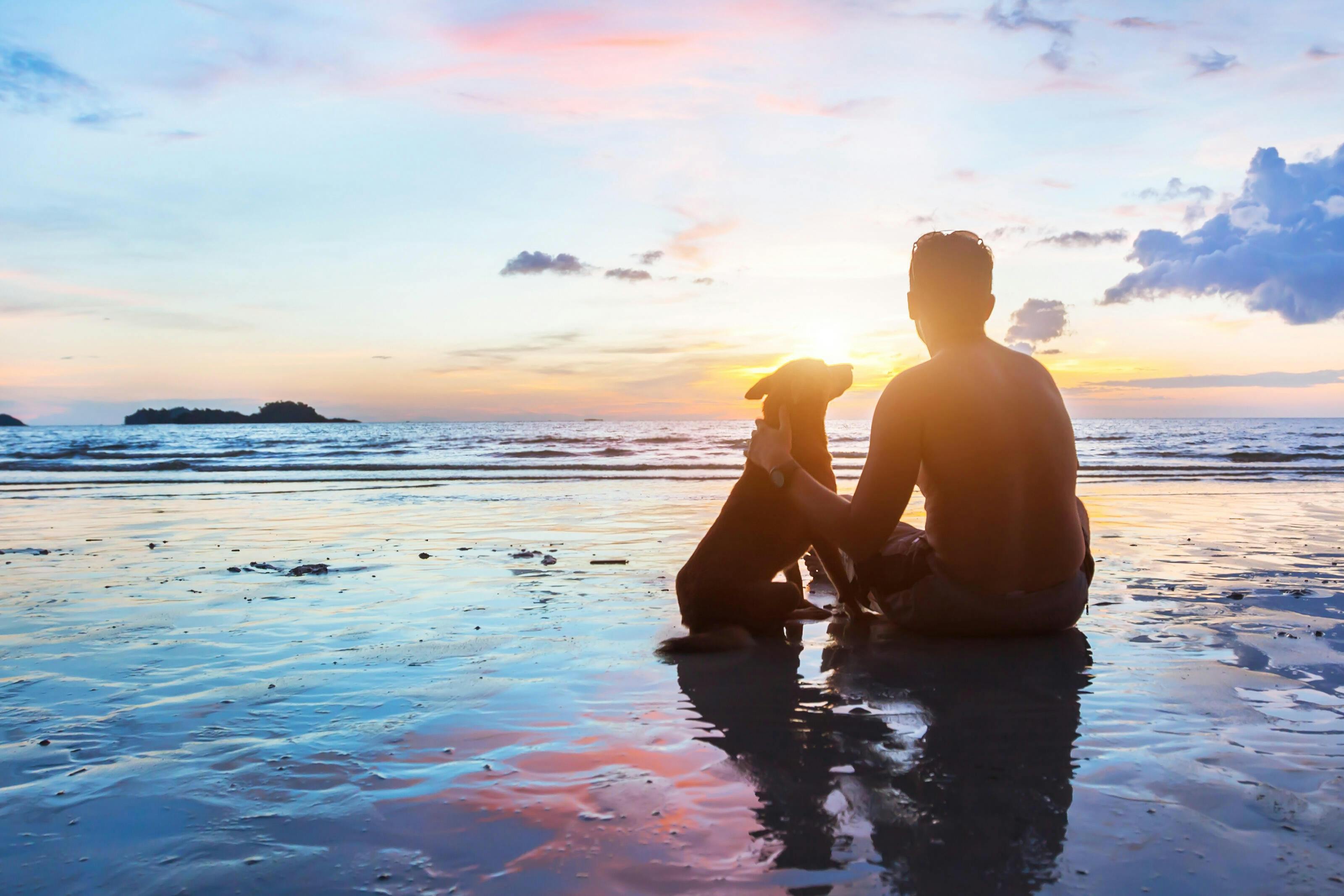 Emotional support animals on best sale cruise ships