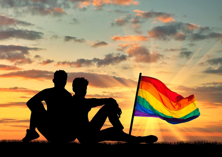 Silhouette of a couple with the rainbow flag in view overlooking a sunset (Photo: Prazis Images/Shutterstock)