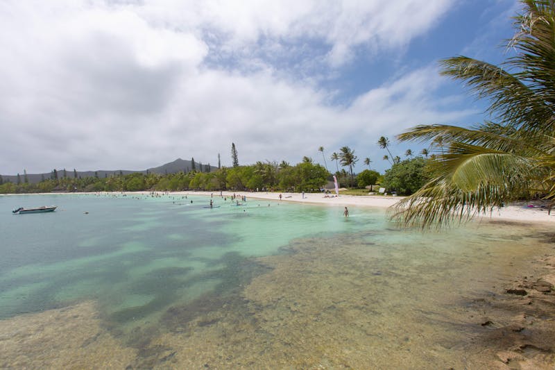 new caledonia cruise cancelled