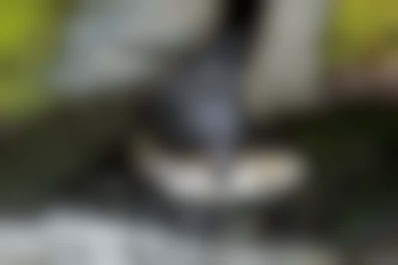 Top 8 Things You Can Do on the Cruise Critic Message Boards to Enhance