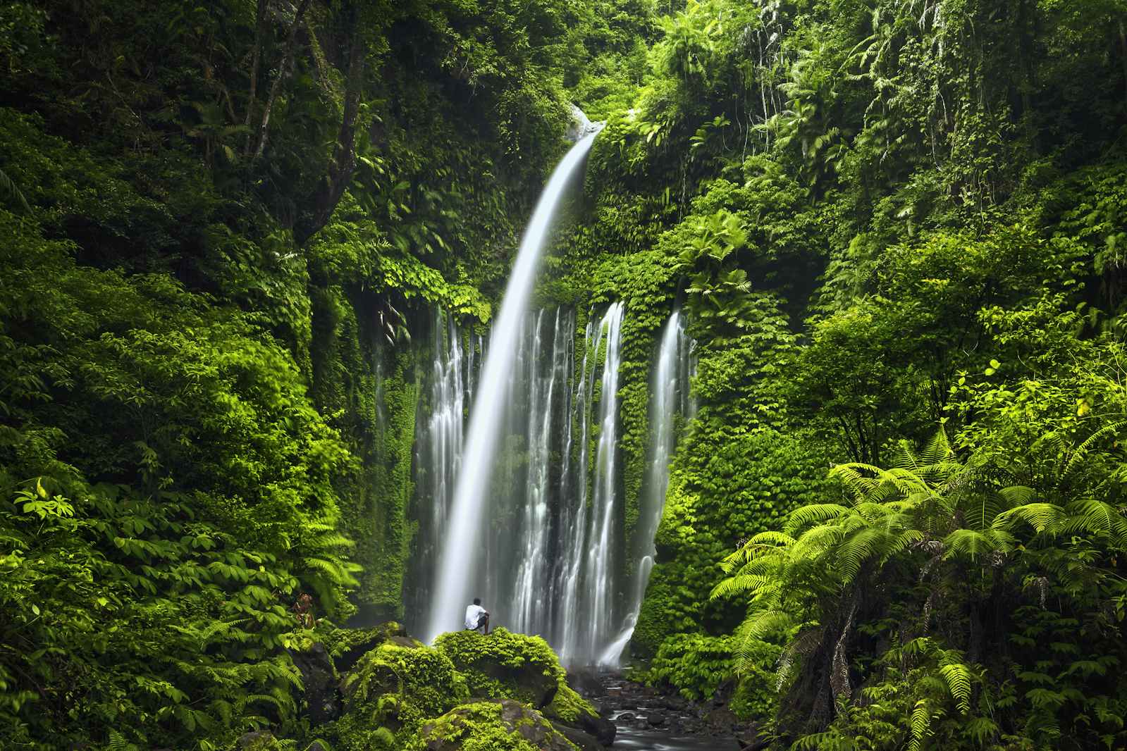 Air Terjun Tiu Kelep waterfall near Rinjani, Senaru, Lombok, Indonesia (Photo: Michail_Vorobyev/Shutterstock)