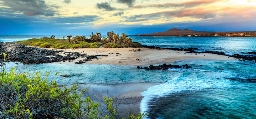 Galapagos Islands (Photo: Rene Holtslag/Shutterstock)