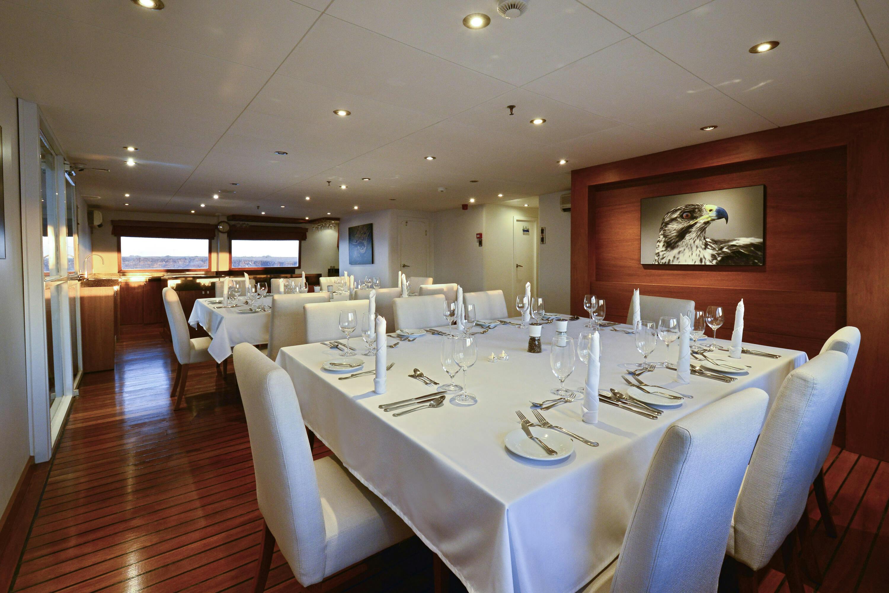 Celebrity Xploration Cruise Expert Review (2023)