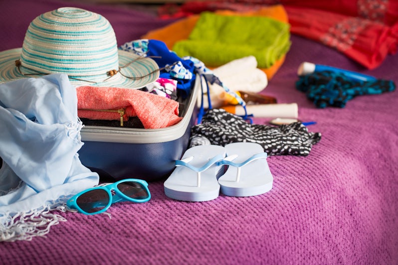 Anatomy of a Cruise Carryon (Photo: REDPIXEL.PL/Shutterstock)