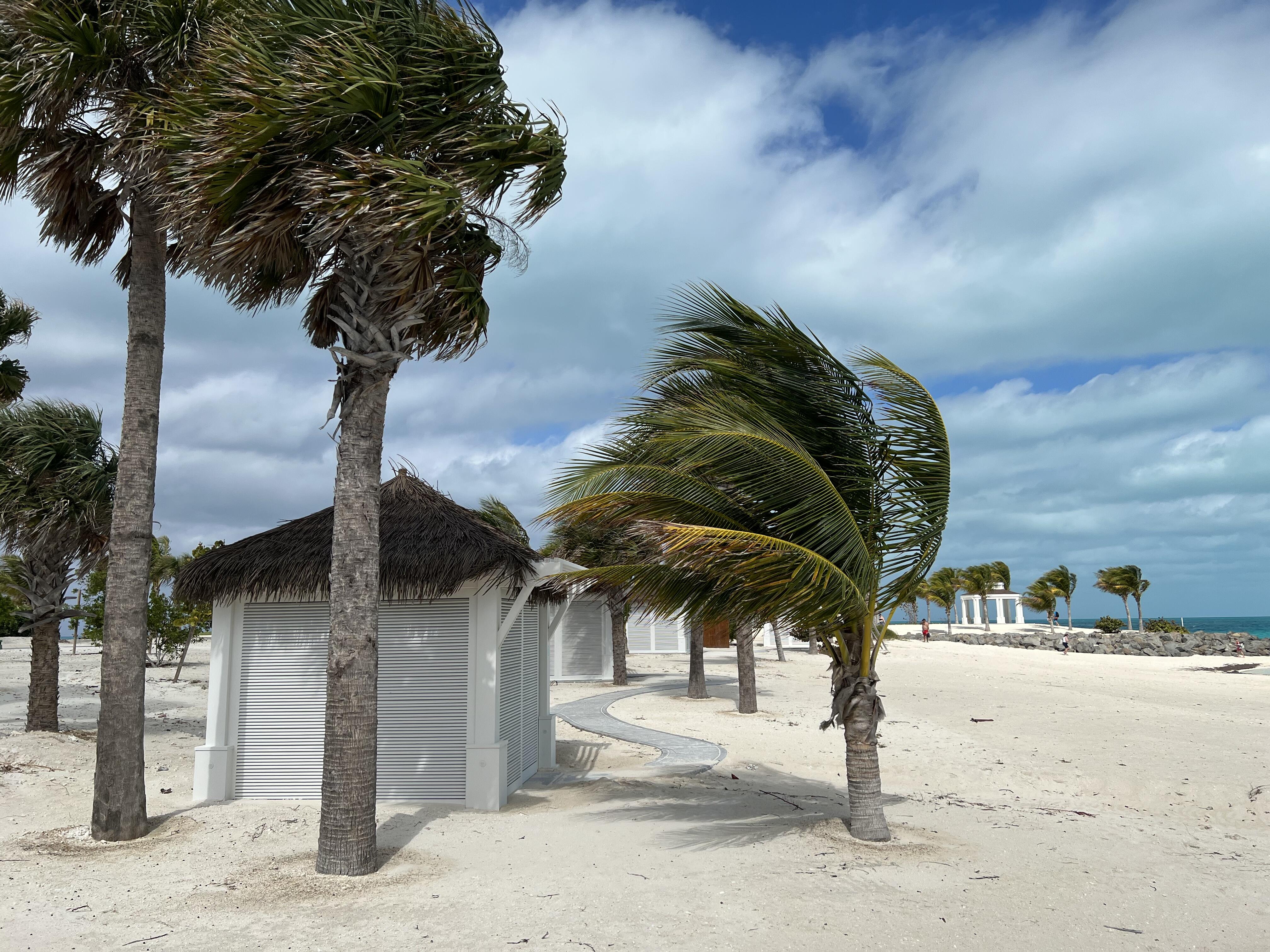 Ocean Cay MSC Marine Reserve: Everything You Need to Know