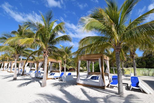 Another cruise line is looking at buying a private island