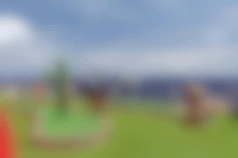 Looking for things to do on Carnival Valor? See what cruise experts had