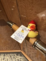 Cruisers often hide little yellow ducks around the ship (Photo: Aaron Saunders)