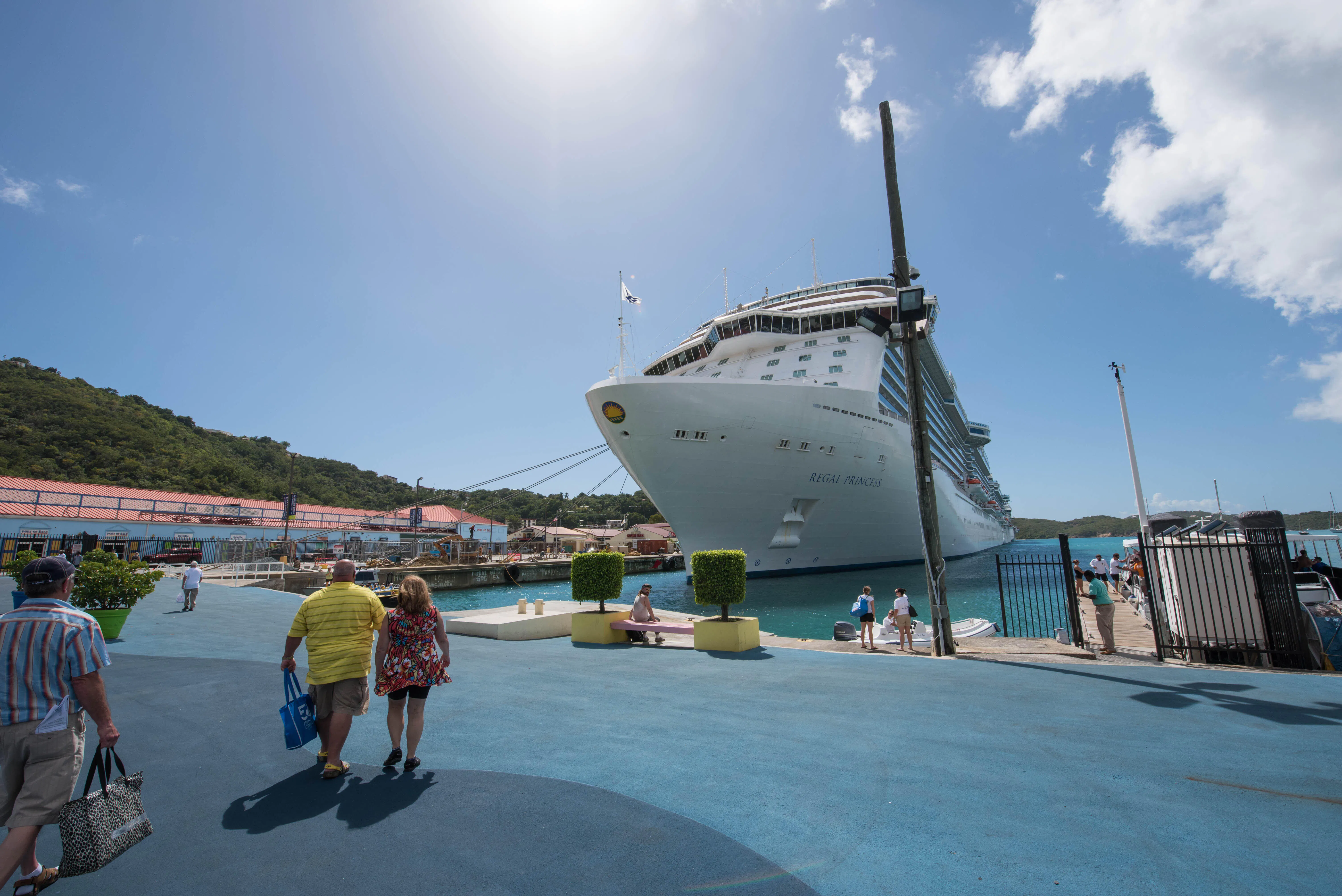 Princess Cruise Ships By Age, Ranked Youngest to Oldest