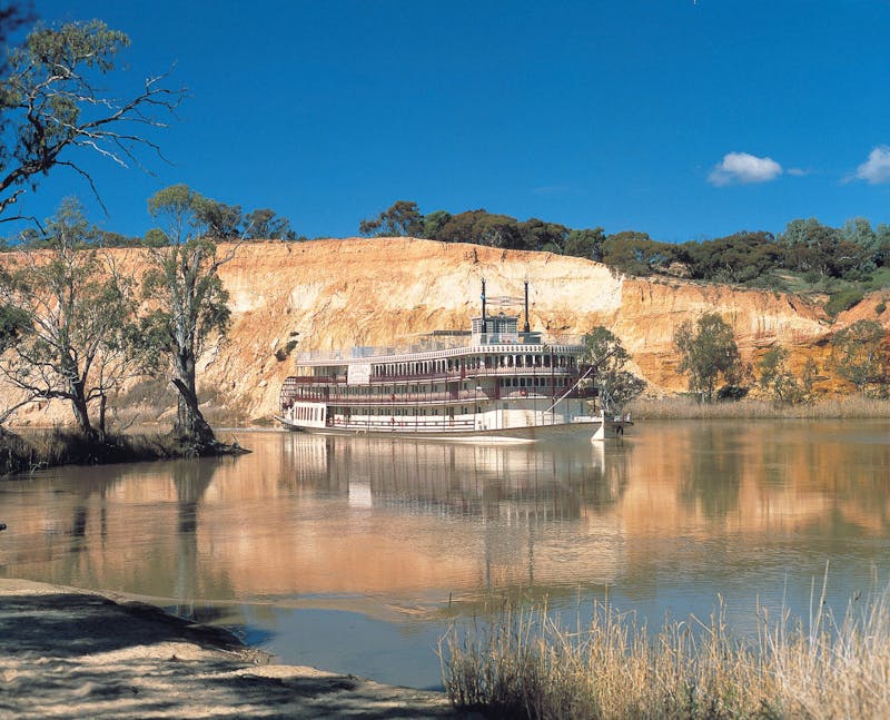 Captain Cook Murray Princess Cruise Expert Review (2023)