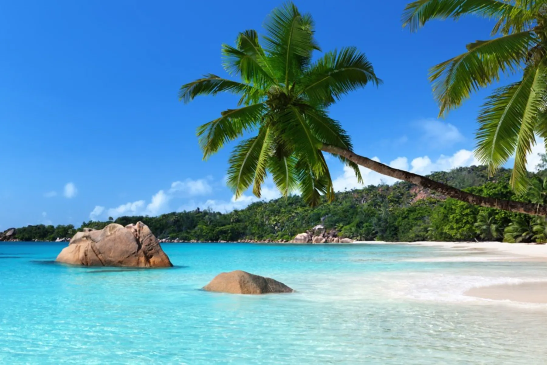 BEST Cruise Deals: Cheap & Discount Cruises (2026) - Cruise Critic