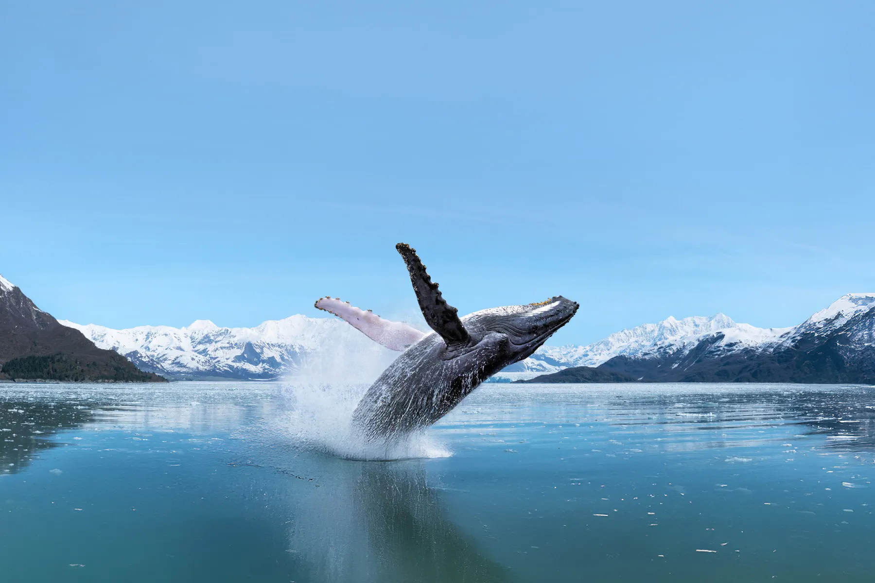 BEST Cruise Deals: Cheap & Discount Cruises (2026) - Cruise Critic