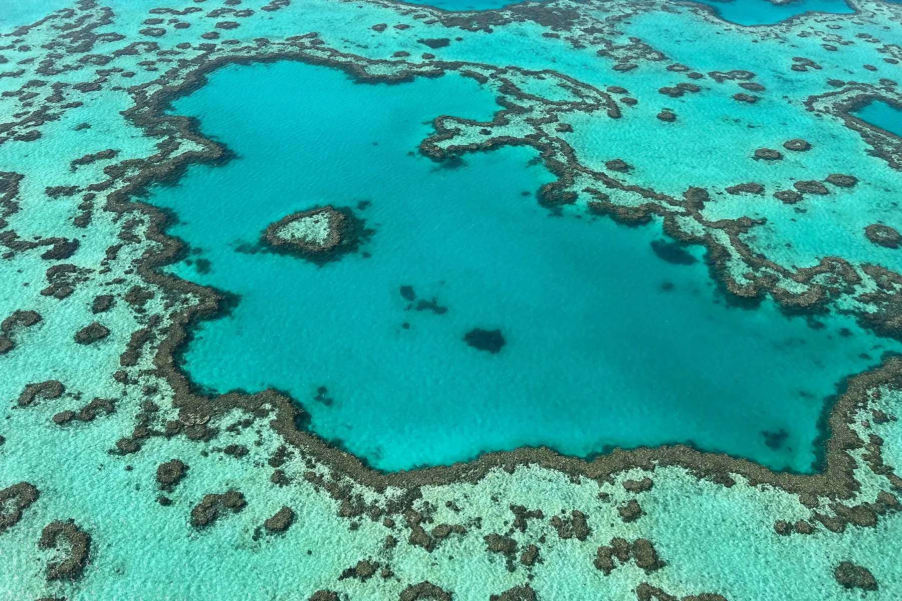 BEST Cruise Deals: Cheap & Discount Cruises (2026) - Cruise Critic