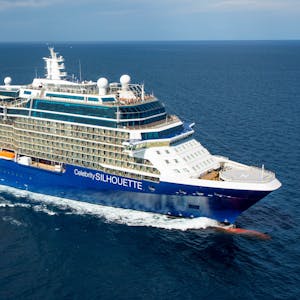 Celebrity Silhouette