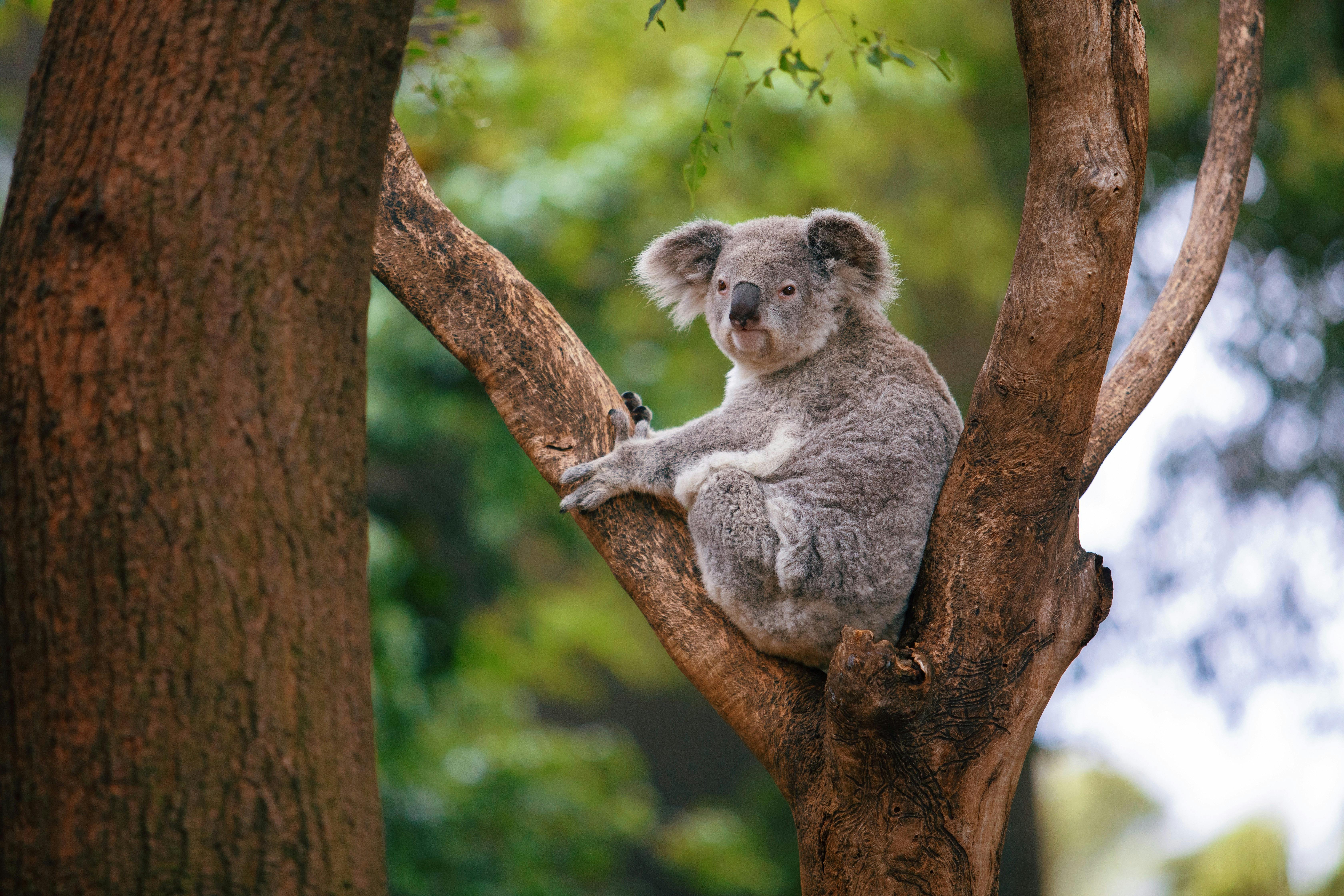 BEST Cruise Deals & Specials February, 2025 Cruise Critic