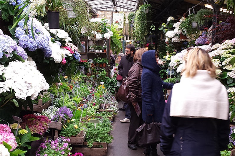 Paris flower market tour