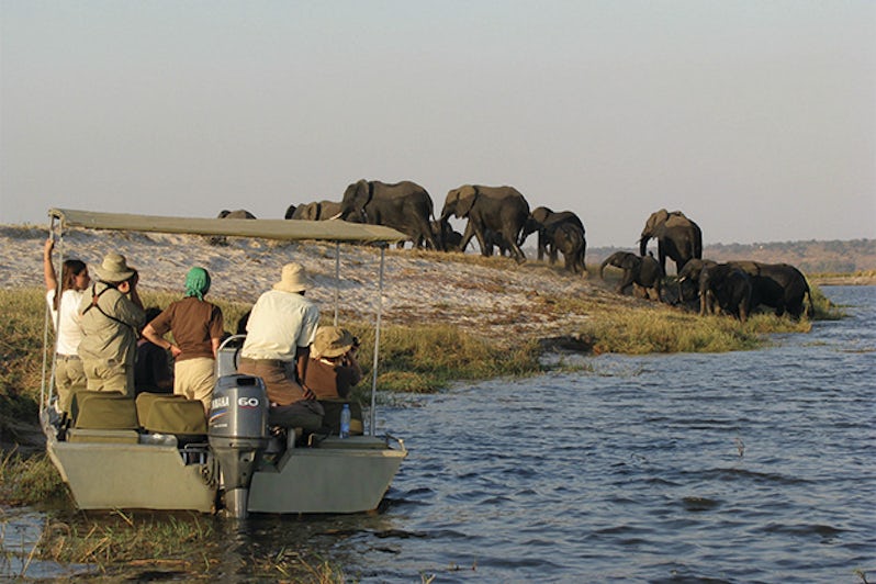 A boat full of AmaWaterways passengers watching African wildlife