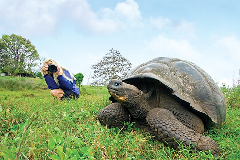 Lindblad Expeditions passenger photographing a wild Galapagos tortoise on Santa Cruz Island